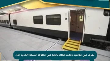تعرف على مواعيد رحلات قطار تالجو على خطوط السكة الحديد الآن